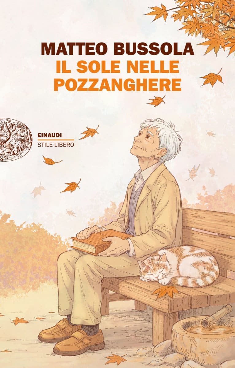 Featured image for “Il sole nelle pozzanghere”